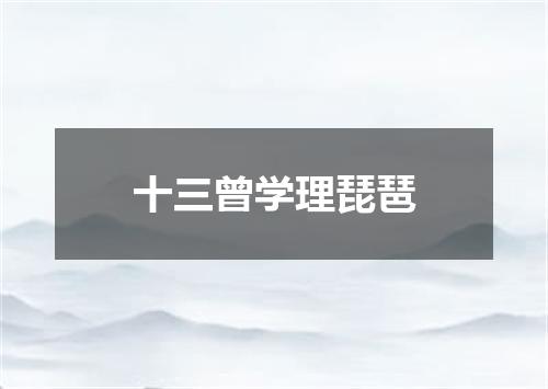 十三曾学理琵琶