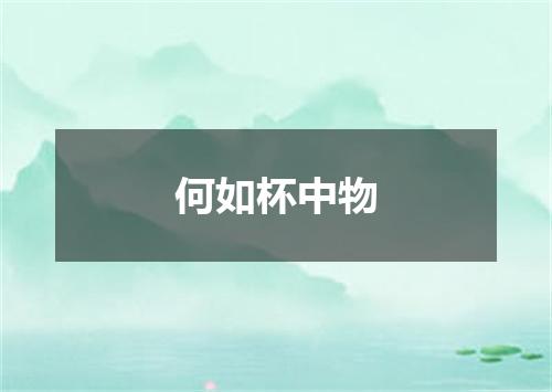 何如杯中物