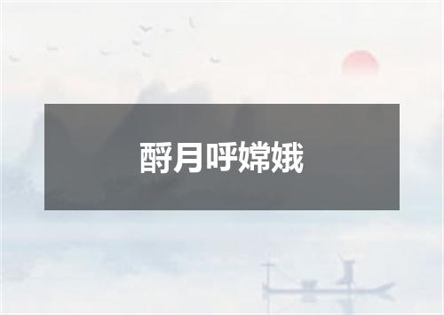 酹月呼嫦娥