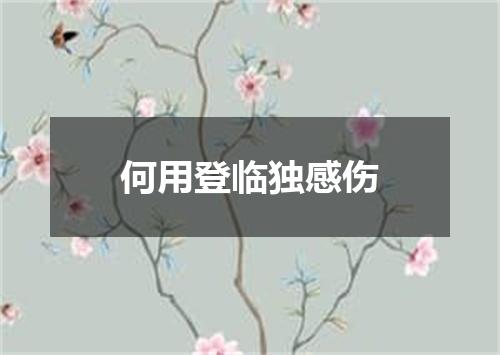 何用登临独感伤