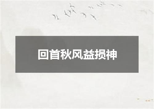 回首秋风益损神