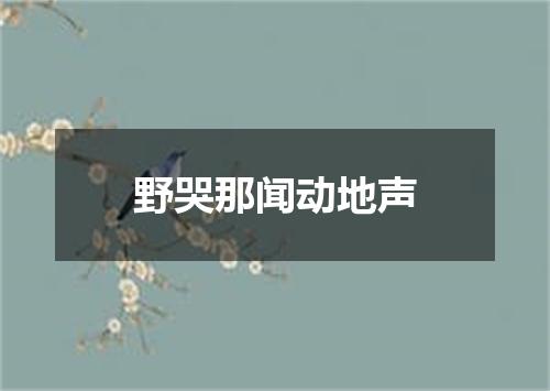 野哭那闻动地声