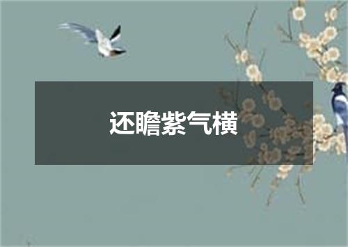 还瞻紫气横