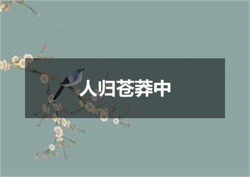 人归苍莽中