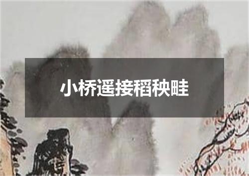 小桥遥接稻秧畦