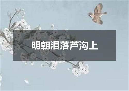 明朝泪落芦沟上