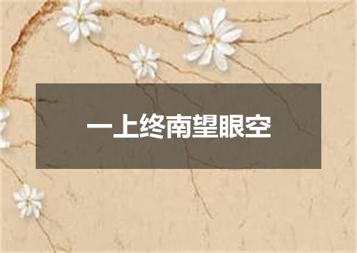 一上终南望眼空