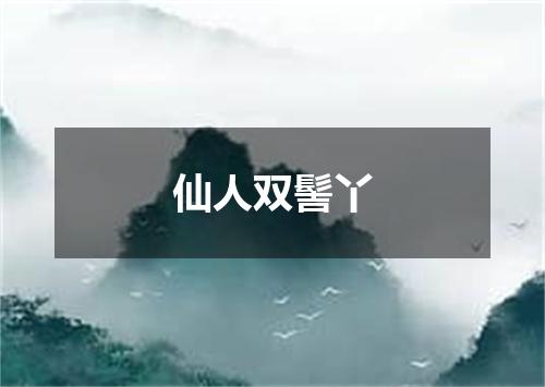 仙人双髻丫