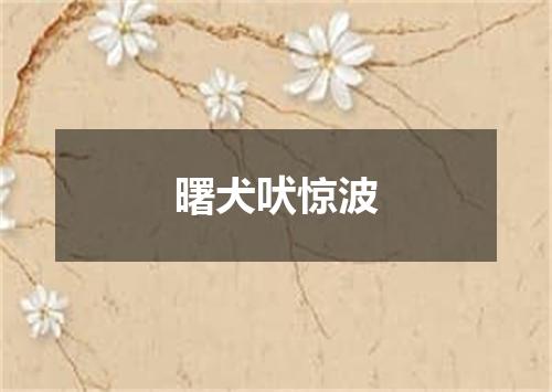 曙犬吠惊波