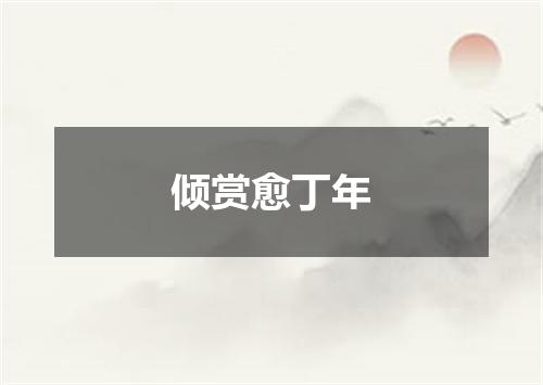 倾赏愈丁年