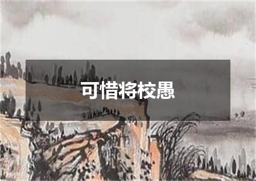 可惜将校愚