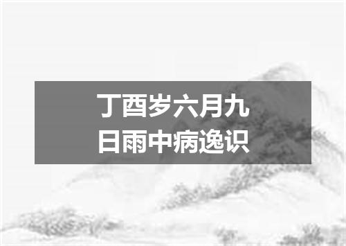 丁酉岁六月九日雨中病逸识