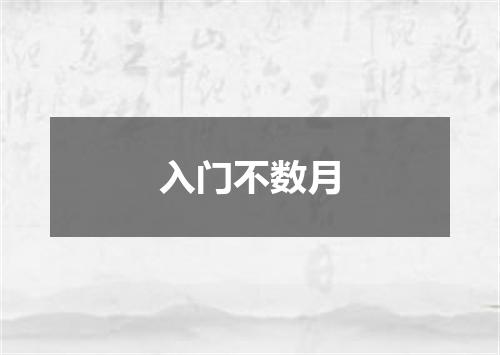入门不数月