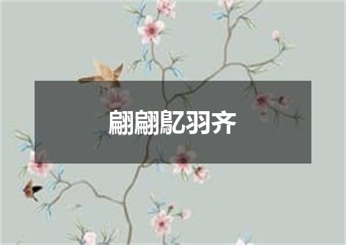 翩翩鳦羽齐