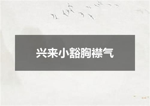 兴来小豁胸襟气
