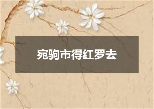 宛驹市得红罗去
