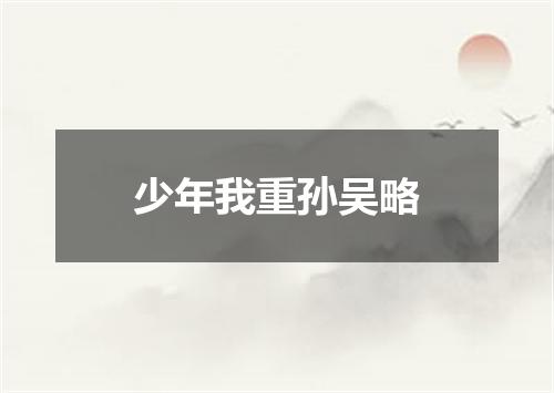 少年我重孙吴略