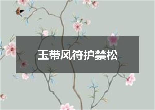 玉带风符护禁松