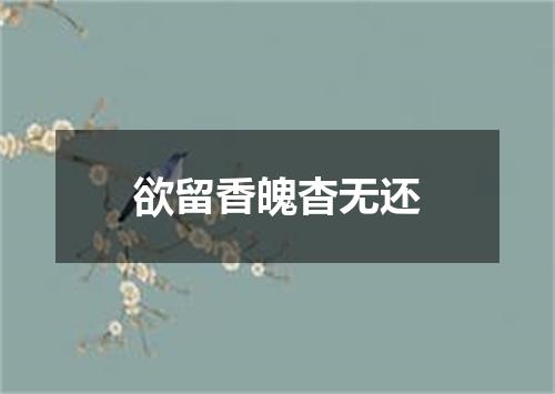 欲留香魄杳无还