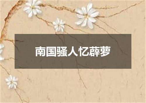 南国骚人忆薜萝