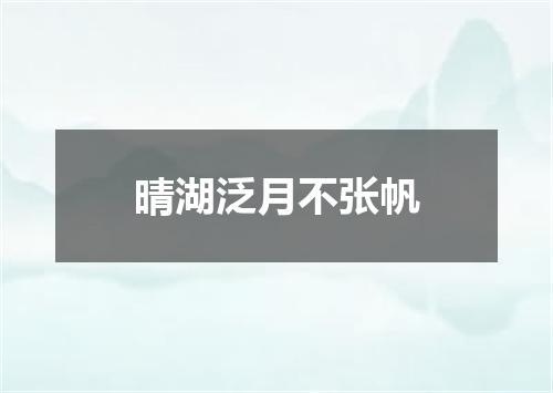 晴湖泛月不张帆
