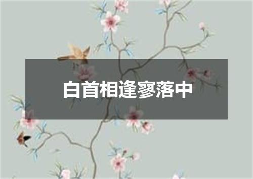 白首相逢寥落中