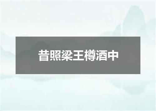 昔照梁王樽酒中