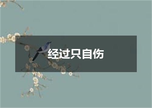 经过只自伤