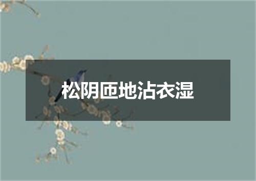 松阴匝地沾衣湿