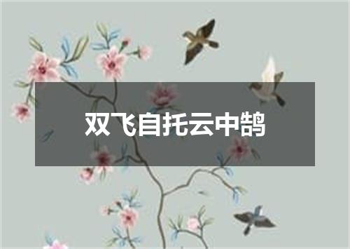 双飞自托云中鹄