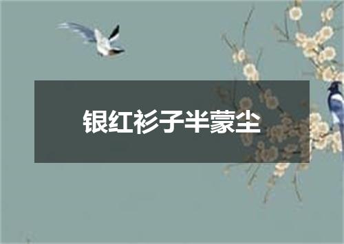 银红衫子半蒙尘