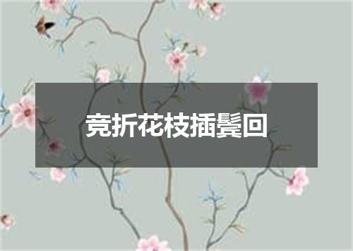 竞折花枝插鬓回