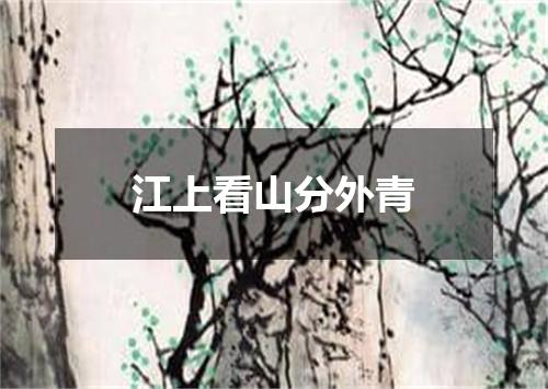 江上看山分外青