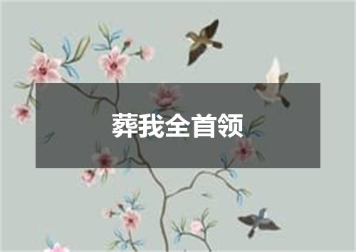 葬我全首领
