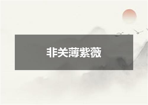 非关薄紫薇