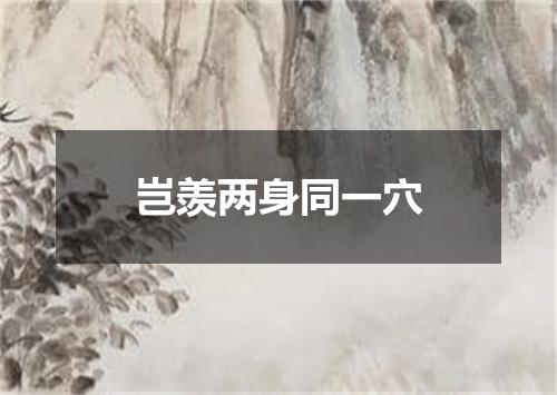 岂羡两身同一穴