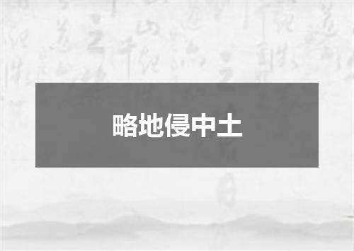 略地侵中土
