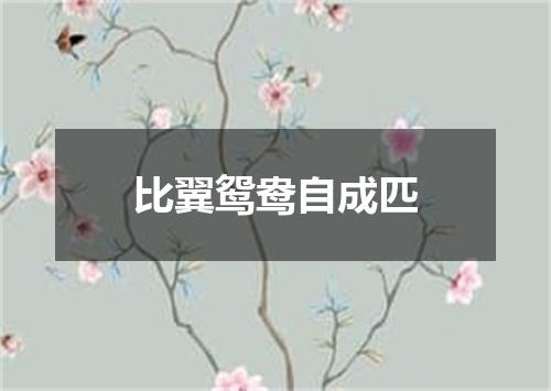 比翼鸳鸯自成匹