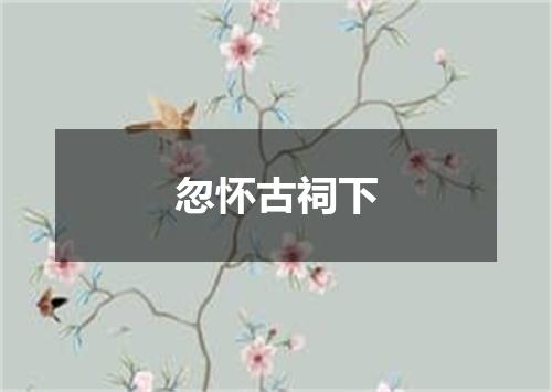 忽怀古祠下