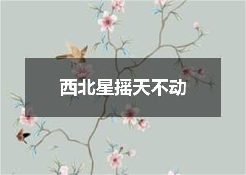 西北星摇天不动
