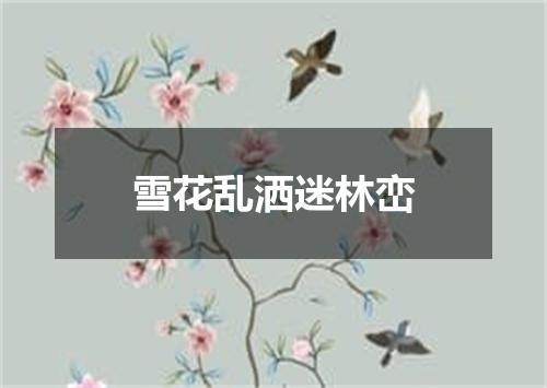 雪花乱洒迷林峦