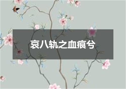 哀八轨之血痕兮