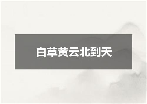 白草黄云北到天