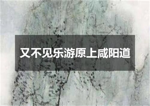 又不见乐游原上咸阳道