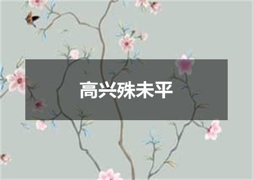 高兴殊未平