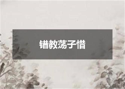 错教荡子惜
