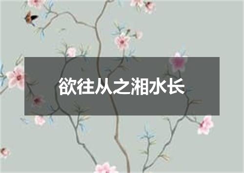 欲往从之湘水长