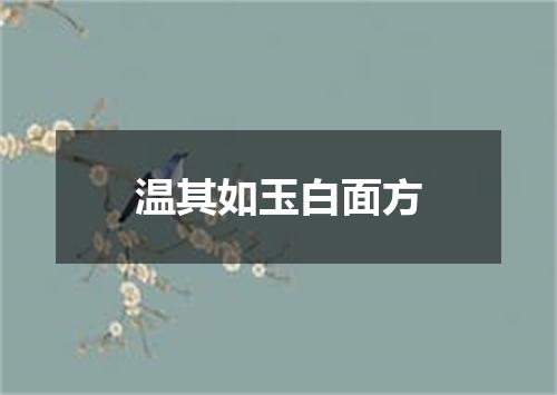 温其如玉白面方
