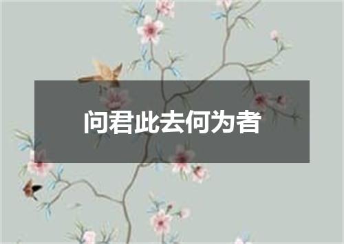 问君此去何为者