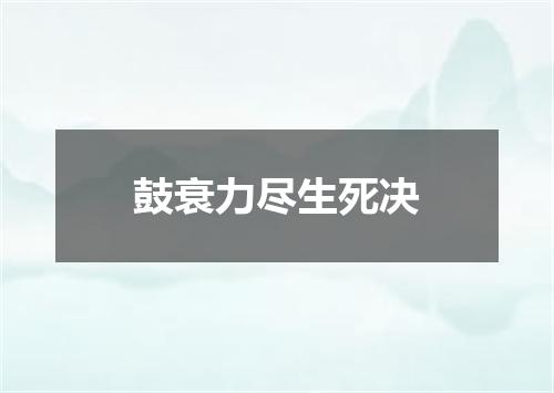鼓衰力尽生死决